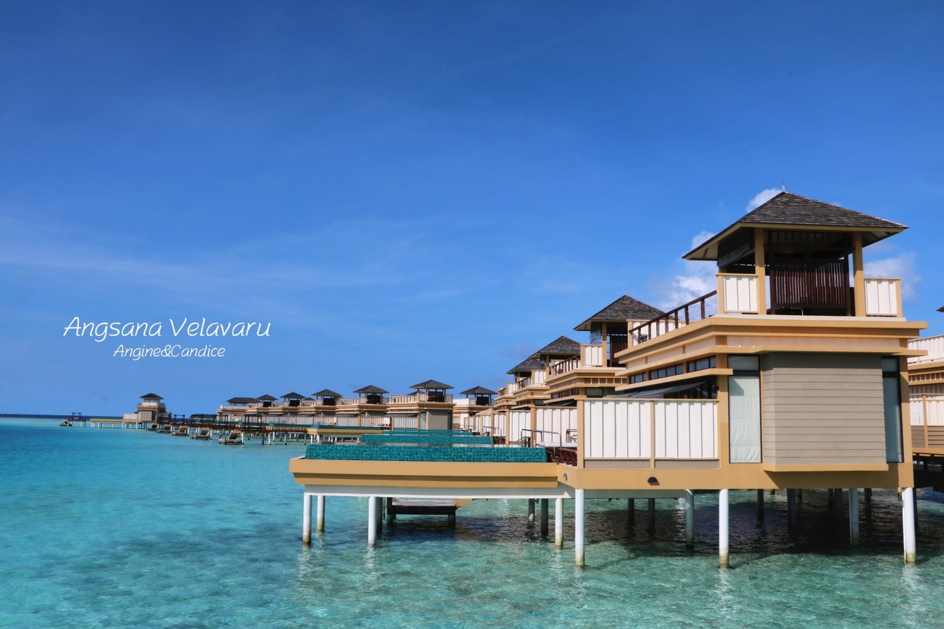 薇拉瓦鲁岛 Angsana Velavaru
